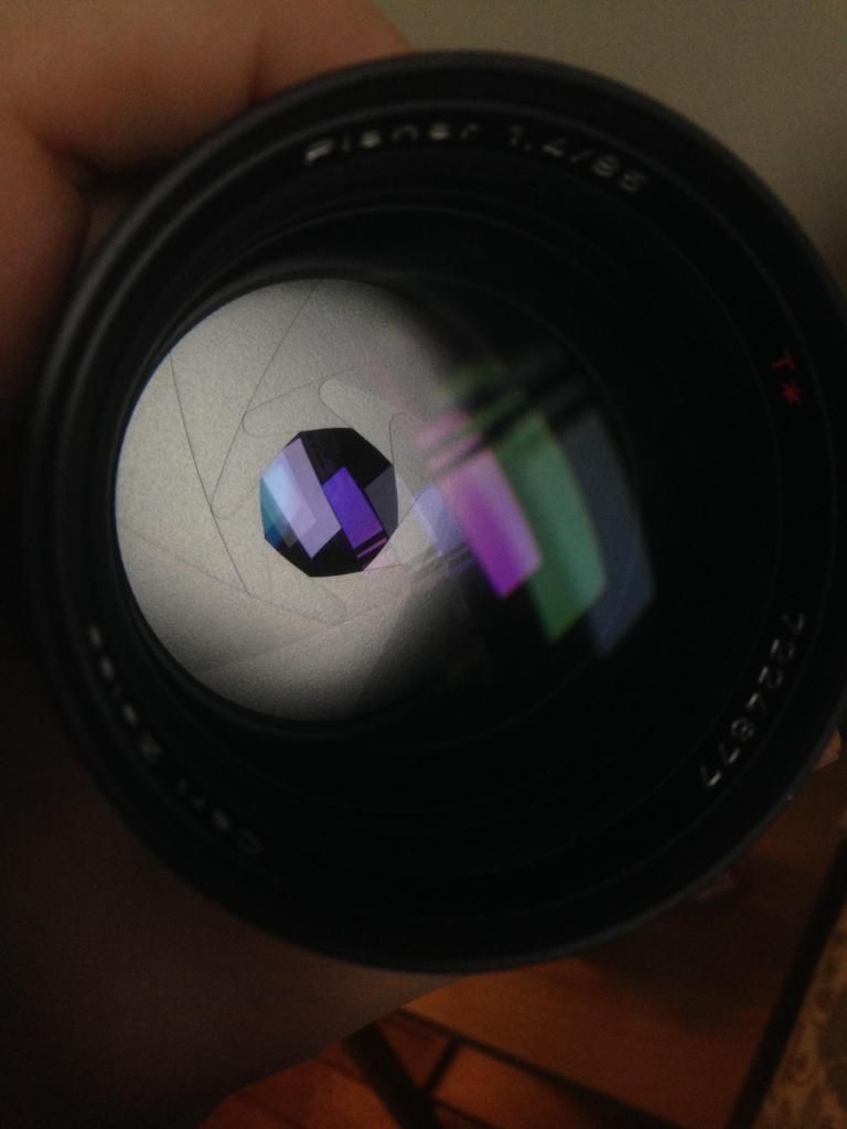 IMAGE: http://i1378.photobucket.com/albums/ah100/loganzillmer/photo13_zpsabeb4590.jpg