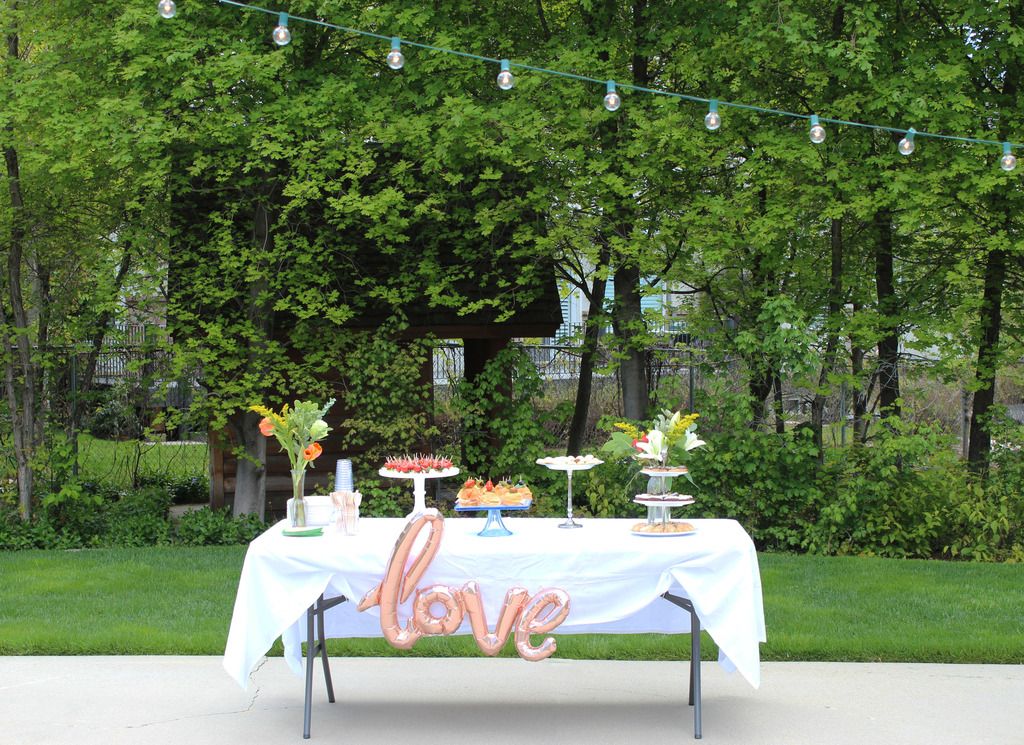 photo Meghans Bridal Shower - May 2017 20_zpsxzudmkqs.jpg