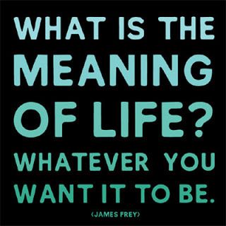 photo md167the-meaning-of-life-james-frey-posters_zpsh6hy8hmm.jpg