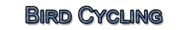 Cycle-1a_zpsaac7d823.png