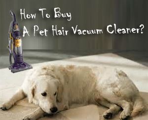 How To Buy A Pet Hair Vacuum Cleaner, Buying A Pet Vacuum Cleaner Tips., Pet Vacuums, Pet Hair Vacuum Cleaners, How To Remove Pet Hair, Pet Hair, Pet Hair Removal, Pet Vacuum, 