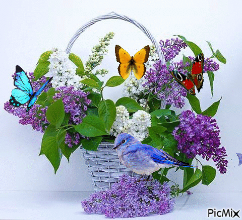  photo flores lilas com borboletas_zps9qbpncpw.gif