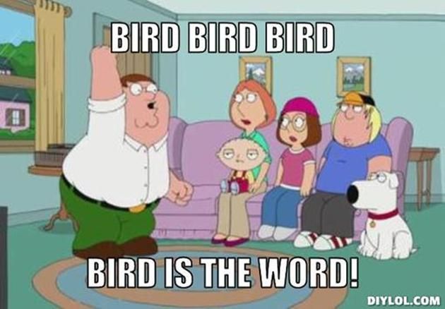 VH-peter-griffin-meme-generator-bird-bir