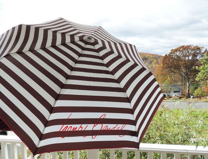  photo Henri Bendel Umbrella_zpst1fx2mnu.jpg