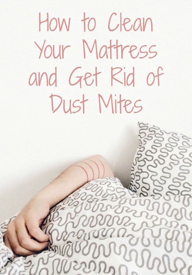  photo clean_mattress_dust_mites-683x1024_zpsfdheajkq.jpg