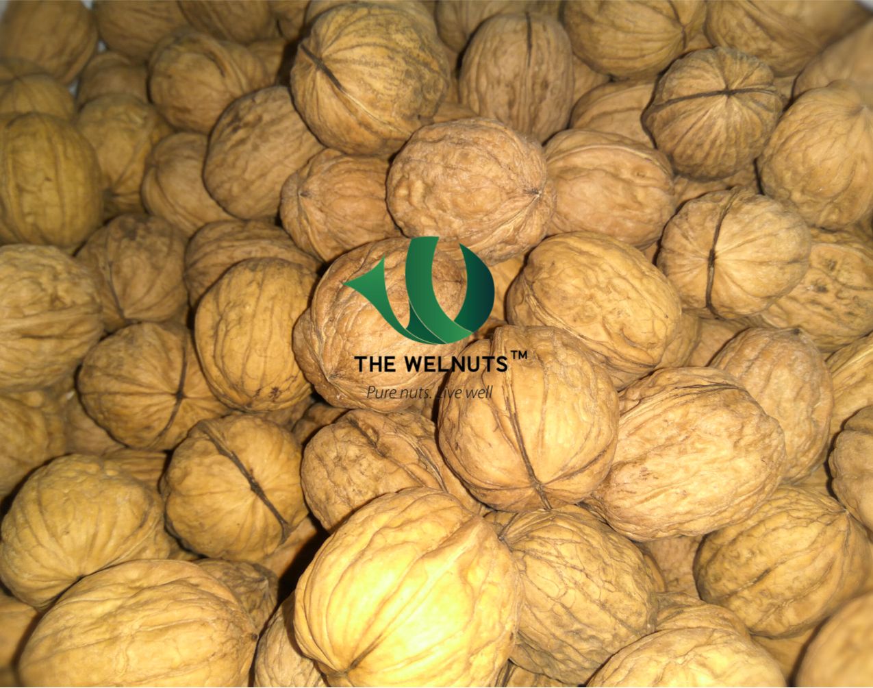 Hạt óc chó nhập khẩu - The Welnuts - cho mẹ và bé - 2