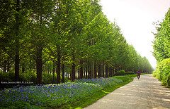 © Gwonie S. Nam photo 3745458296_86e0e4f680_m1_zpsa6955a1c.jpg