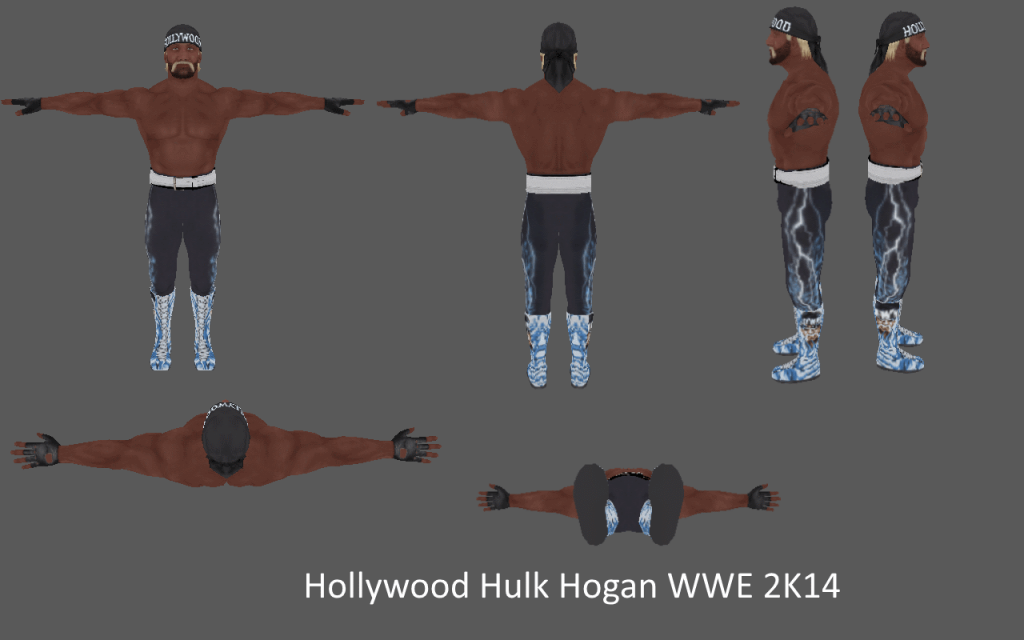 HollywoodHulkHogan_zps43ddacd5.png