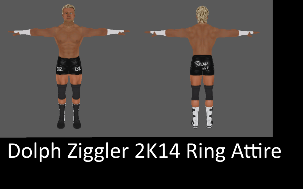 Ziggler2K14Ring_zps9e42a018.png