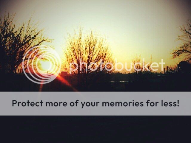  photo vR89l2pAZ9M_zps6z0aqnek.jpg