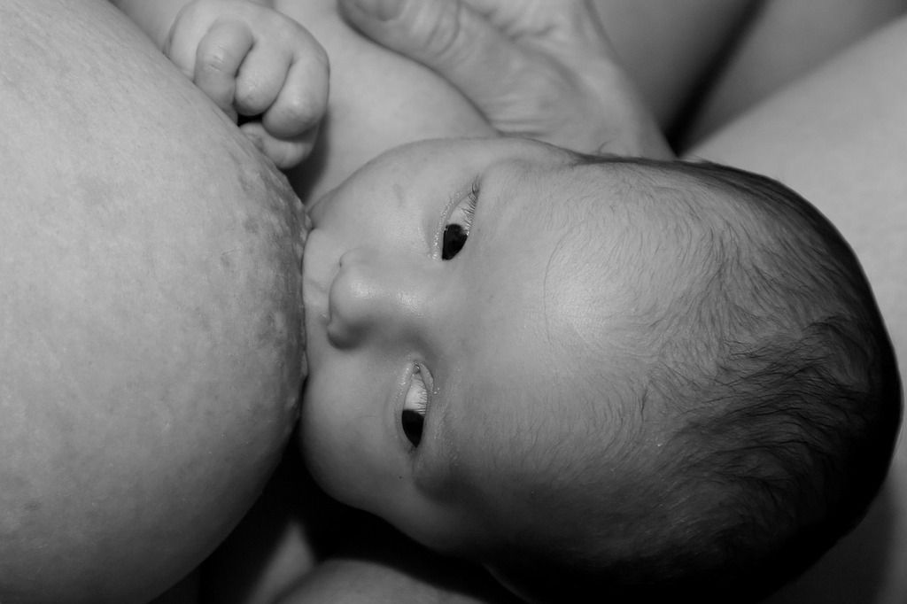 The best formula breastfed babies 2017