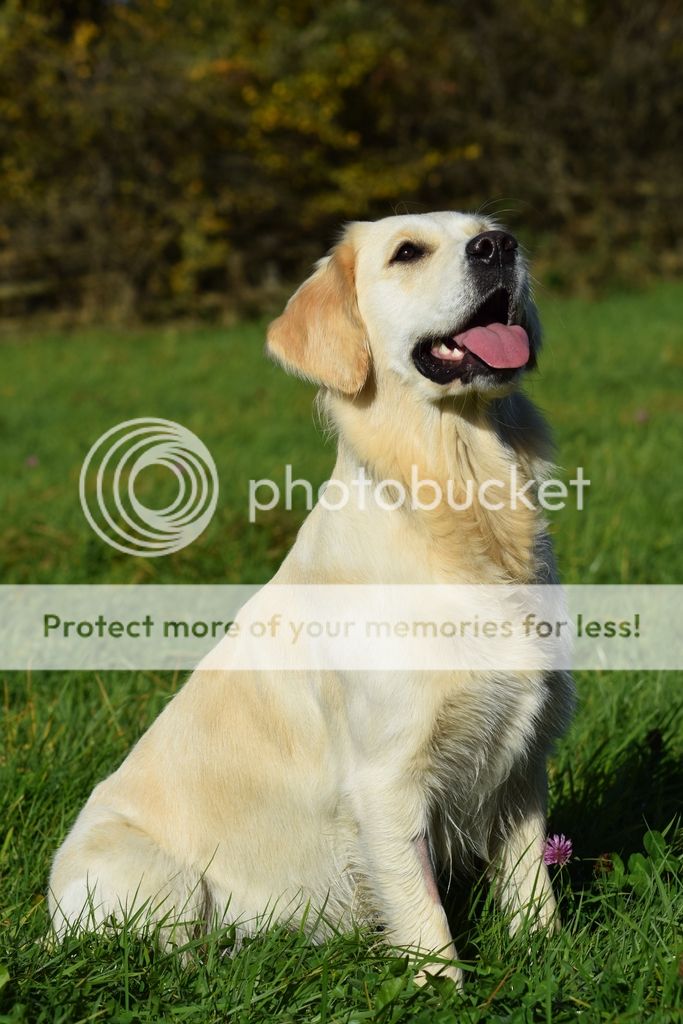 Photobucket - Video and Image Hosting