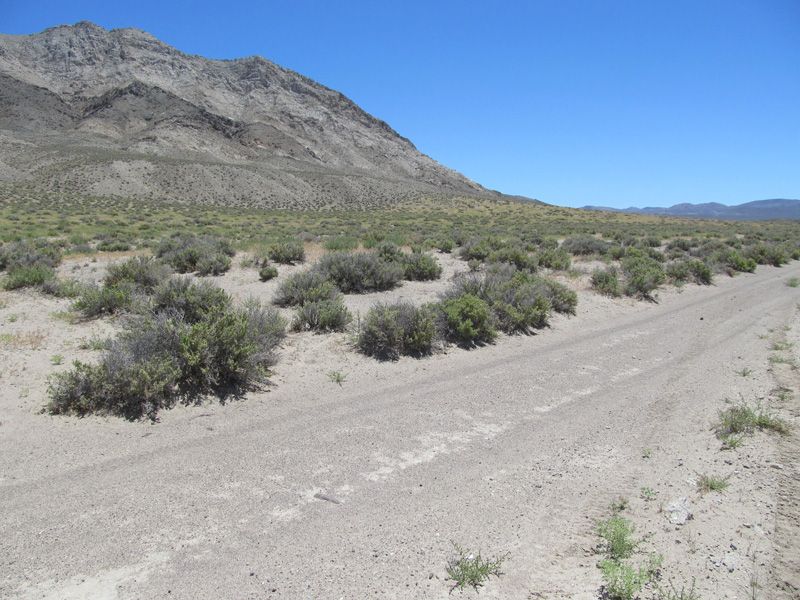 Historic Fallon NV Gold Mine Nevada Silver Copper Lode Mining Claim ...