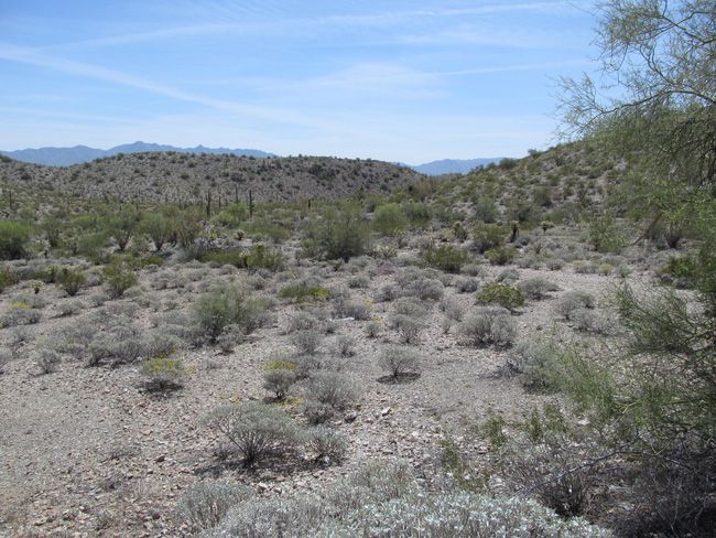 Arizona Gold Mine Gem Mining Claim Multiple Shafts and an Adit La Paz ...