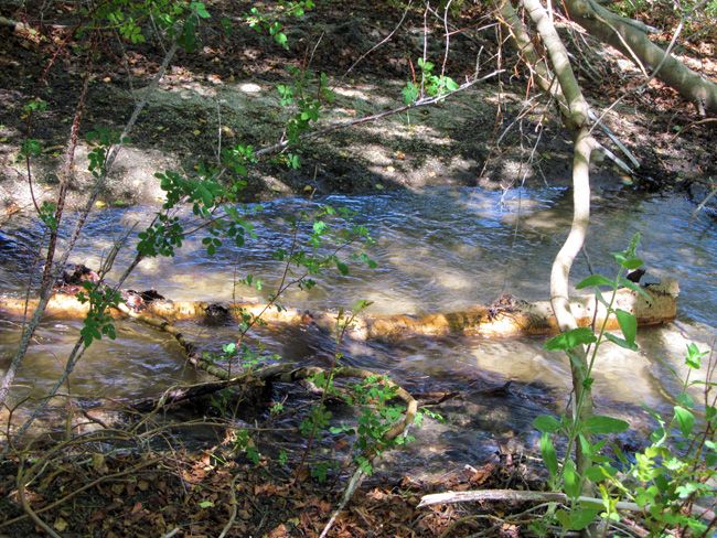 water pic of the creek