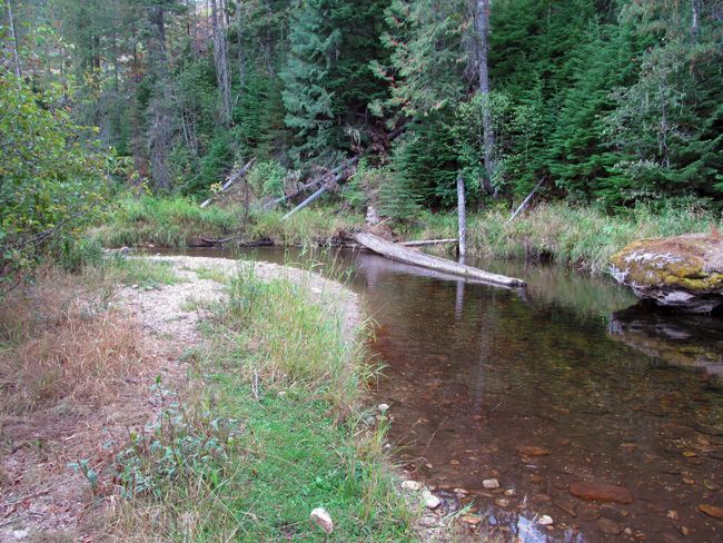 Gold Center Mining Claim Idaho Placer Gold Mine Shoshone County Panning ...