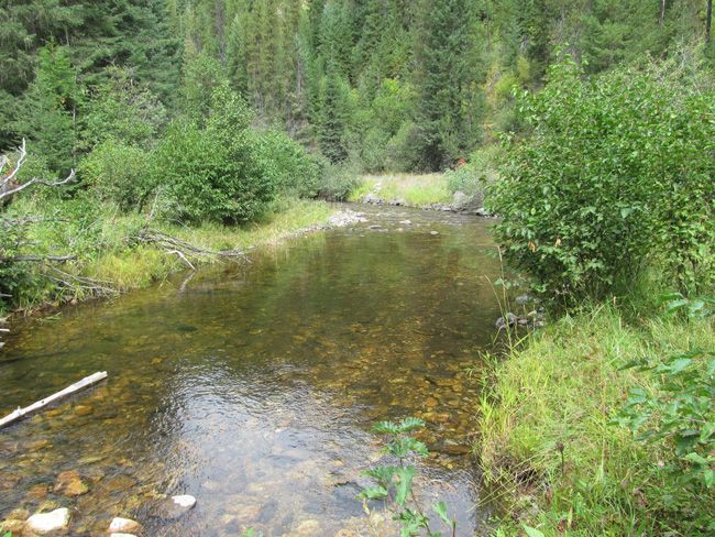 Gold Center Mining Claim Idaho Placer Gold Mine Shoshone County Panning ...