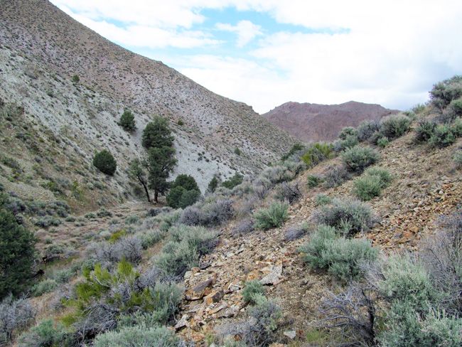 Historic Wonder Nevada Abandoned Gold Mine Hard Rock Silver NV Mining ...