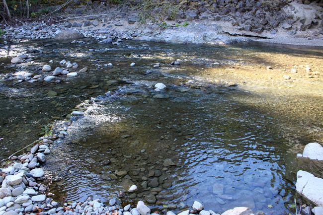 Yellow Jacket Creek Washington Gold Panning / Placer Mine Claim Lewis ...